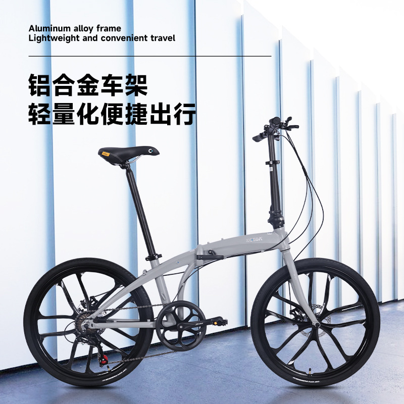 24인치 알루미늄 합금 휴대용 초경량 접이식 성인용 디 - Commuting With Bike 리뷰 및 가격